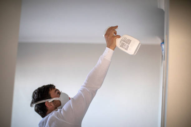 Reliable Union Springs, AL Mold Remediation Solutions
