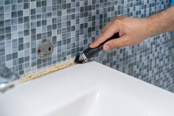Best Commercial Mold Remediation in Union Springs, AL
